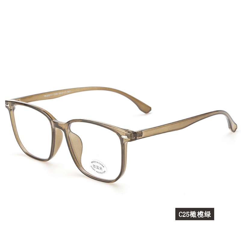 宽边黑框平光镜网红同款30217电脑护目镜复古非主流近视 tr90眼镜